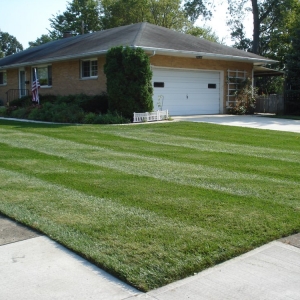 Photo of Mowing & More
