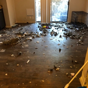 Photo of J&G's Uni Cleaning Services