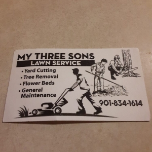 Photo of My Three Sons Lawn & Tree Service