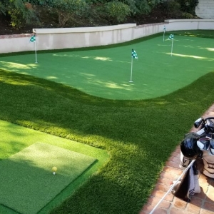 Photo of Elite Artificial Grass