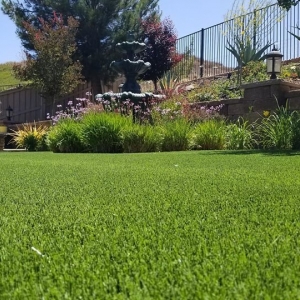 Photo of Elite Artificial Grass