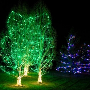 Photo of Blingle Premier Lighting