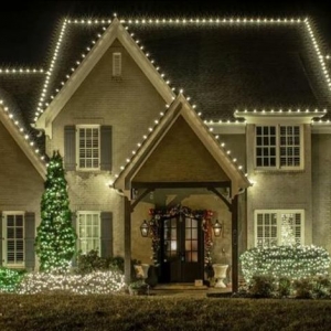 Photo of Blingle Premier Lighting