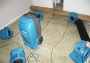 Photo of A1 Cleaning Systems