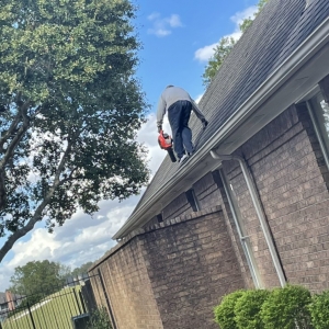 Photo of Texan pro services