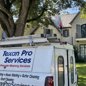 Photo of Texan pro services
