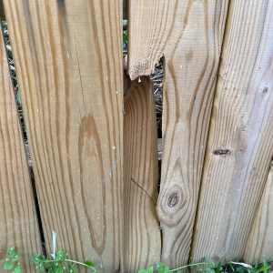 Photo of Pronto Home Repairs