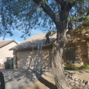 Photo of Newman's Chimney & Dryer Vent