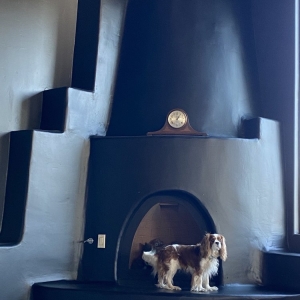 Photo of Newman's Chimney & Dryer Vent
