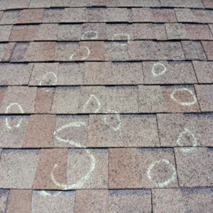 Photo of Right Now Roofing