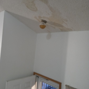 Photo of Right Now Roofing