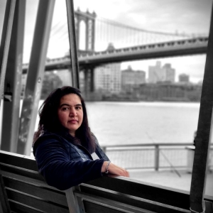 Photo of Pier 36 NYC