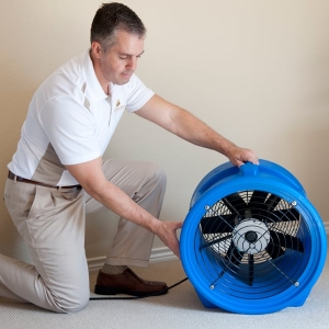 Photo of Gold Standard Floor Care