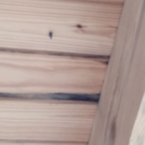 Photo of Isaacs Roofing