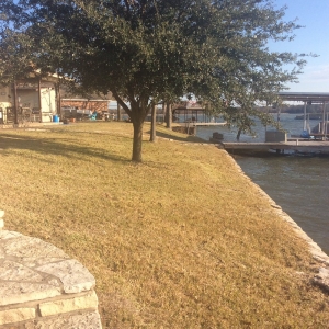 Photo of Wild Rose NTX