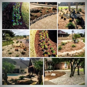 Photo of Wild Rose NTX