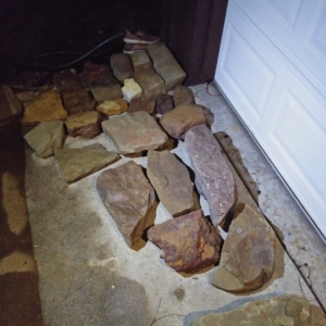 Photo of Wild Rose NTX