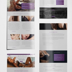 Photo of Avid