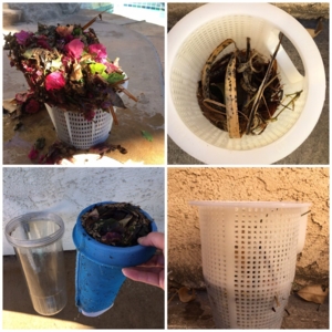 Photo of Aqua Care Pool Professionals