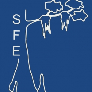 Gainesville Santa Fe Electric