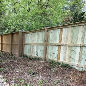 Clifton Lion's Fence