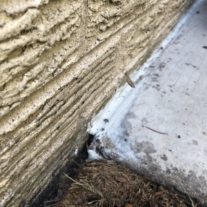 Photo of Chicagoland Waterproofing
