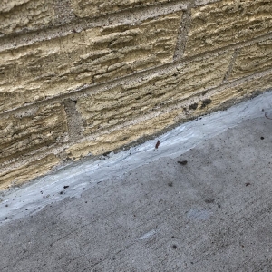 Photo of Chicagoland Waterproofing