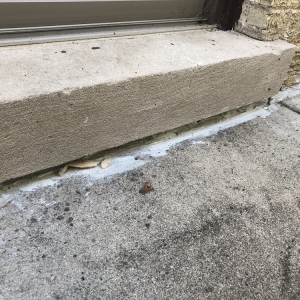 Photo of Chicagoland Waterproofing