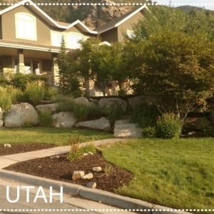 Photo of Mulch Utah
