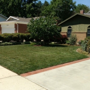 Photo of Mulch Utah