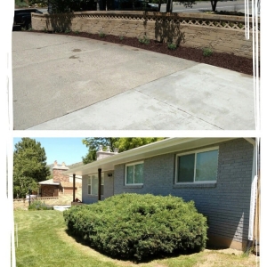 Photo of Mulch Utah