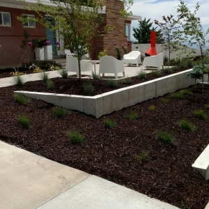 Photo of Mulch Utah