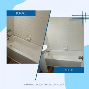 Photo of Professional Cleaning Services Company