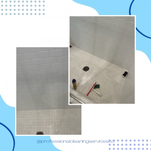 Photo of Professional Cleaning Services Company