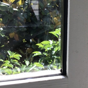 Photo of Smart Glass