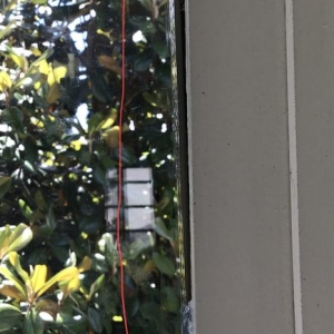 Photo of Smart Glass