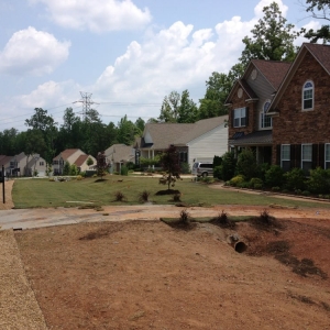 Belmont Lawngevity Landscape & Maintenance