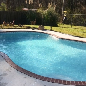 Photo of Southern Oasis Pools