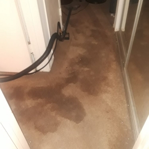 Photo of M and J Steam Cleaning