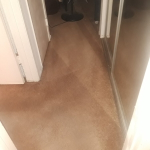 Photo of M and J Steam Cleaning