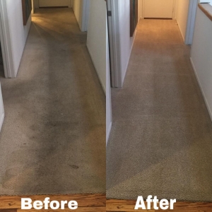 Photo of M and J Steam Cleaning