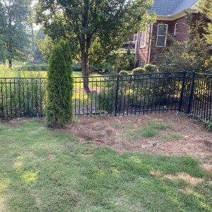 Tyrone All South Lawnscapes