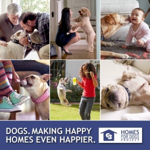 Photo of Coldwell Banker Real Estate Services