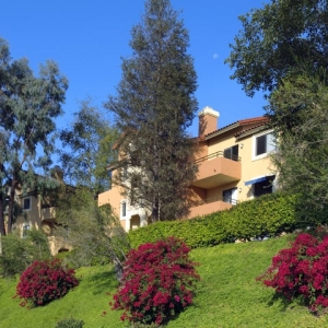 Photo of eaves Rancho Penasquitos