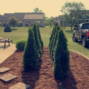 Photo of Rausch Tree and Outdoor Services