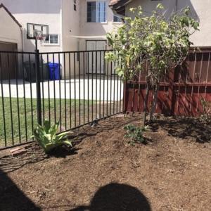 Photo of Clean Cut Tree Service