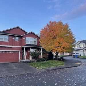Photo of New Paradigm Home and Garden