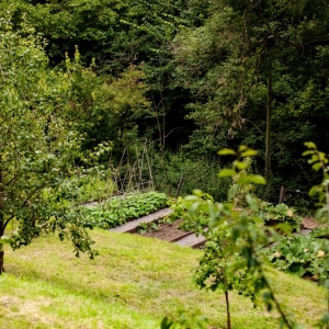 Photo of New Paradigm Home and Garden