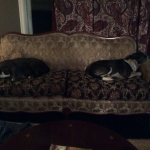Photo of Trio Furniture Design