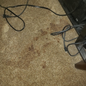 Photo of Carpet beautifier